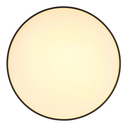 Globo - LED Plafon LED/24W/230V śr. 48 cm antracyt