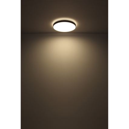 Globo - LED Plafon LED/24W/230V