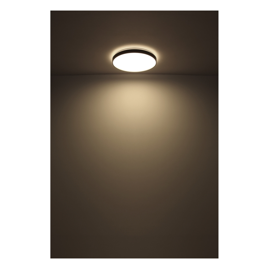 Globo - LED Plafon LED/24W/230V