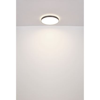 Globo - LED Plafon LED/24W/230V