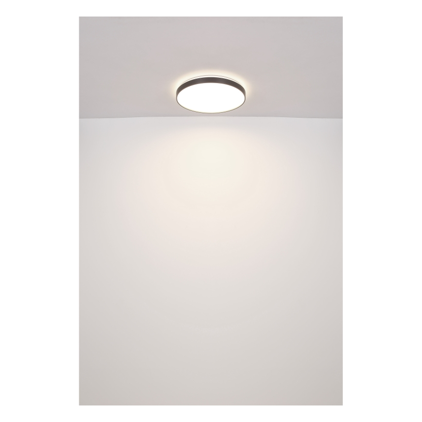 Globo - LED Plafon LED/24W/230V