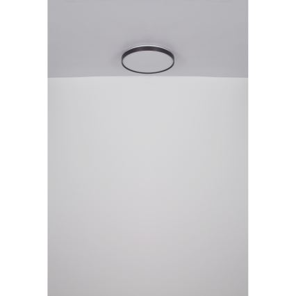 Globo - LED Plafon LED/24W/230V