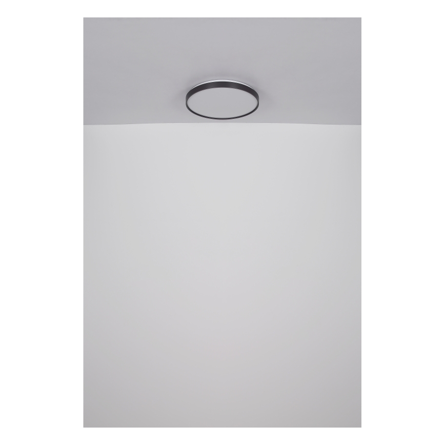 Globo - LED Plafon LED/24W/230V