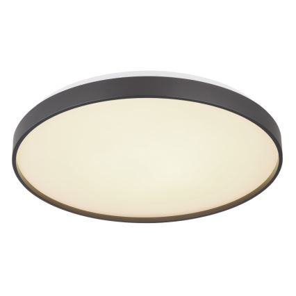Globo - LED Plafon LED/24W/230V