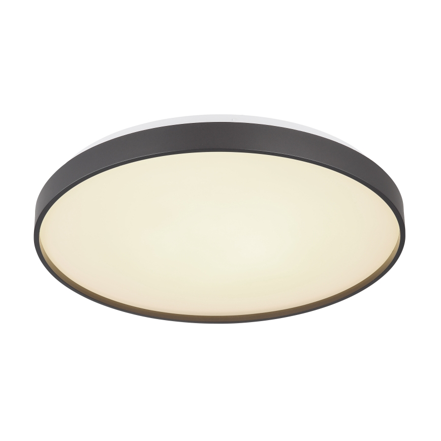 Globo - LED Plafon LED/24W/230V