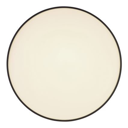 Globo - LED Plafon LED/24W/230V