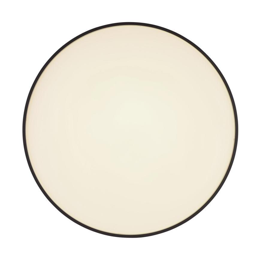 Globo - LED Plafon LED/24W/230V