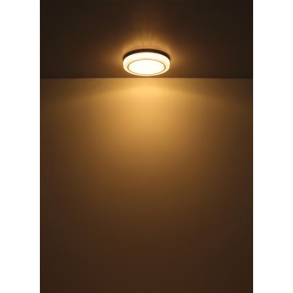 Globo - LED Plafon LED/24W/230V śr. 40 cm 3000K biały