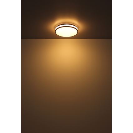 Globo - Ściemnialna lampa sufitowa RGBW LED/18W/230V 2700-6000K + zdalne sterowanie