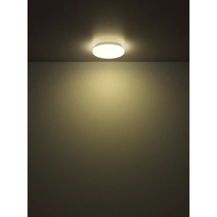 Globo - Lampa sufitowa LED/8W/230V 4000K śr. 22 cm