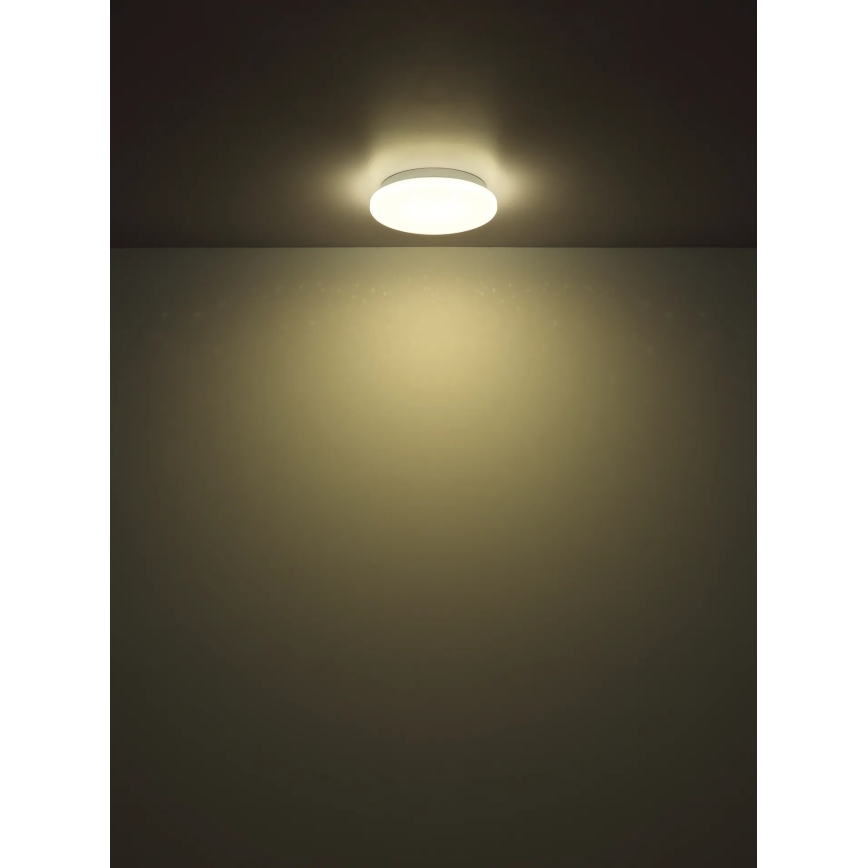 Globo - Lampa sufitowa LED/8W/230V 4000K śr. 22 cm