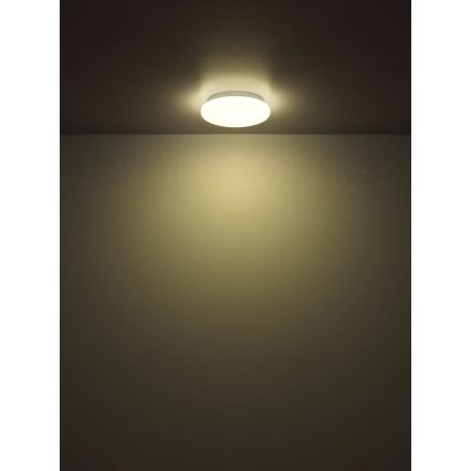 Globo - LED oprawa sufitowa LED/8W/230V 4000K śr. 55 cm
