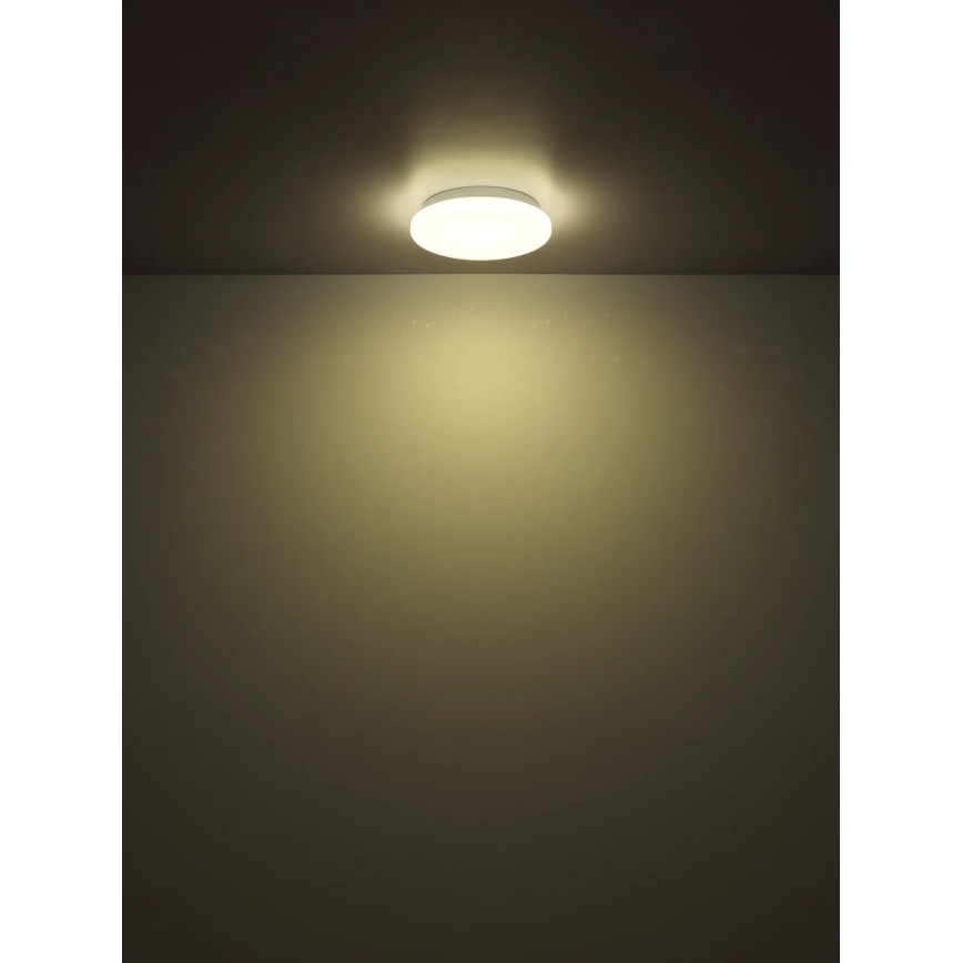 Globo - LED oprawa sufitowa LED/8W/230V 4000K śr. 55 cm