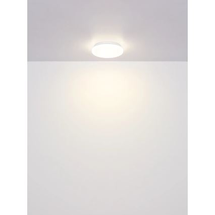 Globo - LED oprawa sufitowa LED/8W/230V 4000K śr. 55 cm