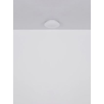 Globo - LED oprawa sufitowa LED/8W/230V 4000K śr. 55 cm