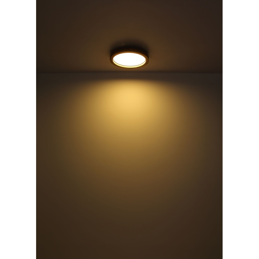 Globo - LED RGBW Ściemnialny plafon LED/24W/230V 2700-6000K + pilot zdalnego sterowania