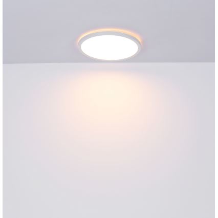 Globo - LED Ściemnialny plafon łazienkowy LED/18W/230V śr. 29,4 cm IP44 biały