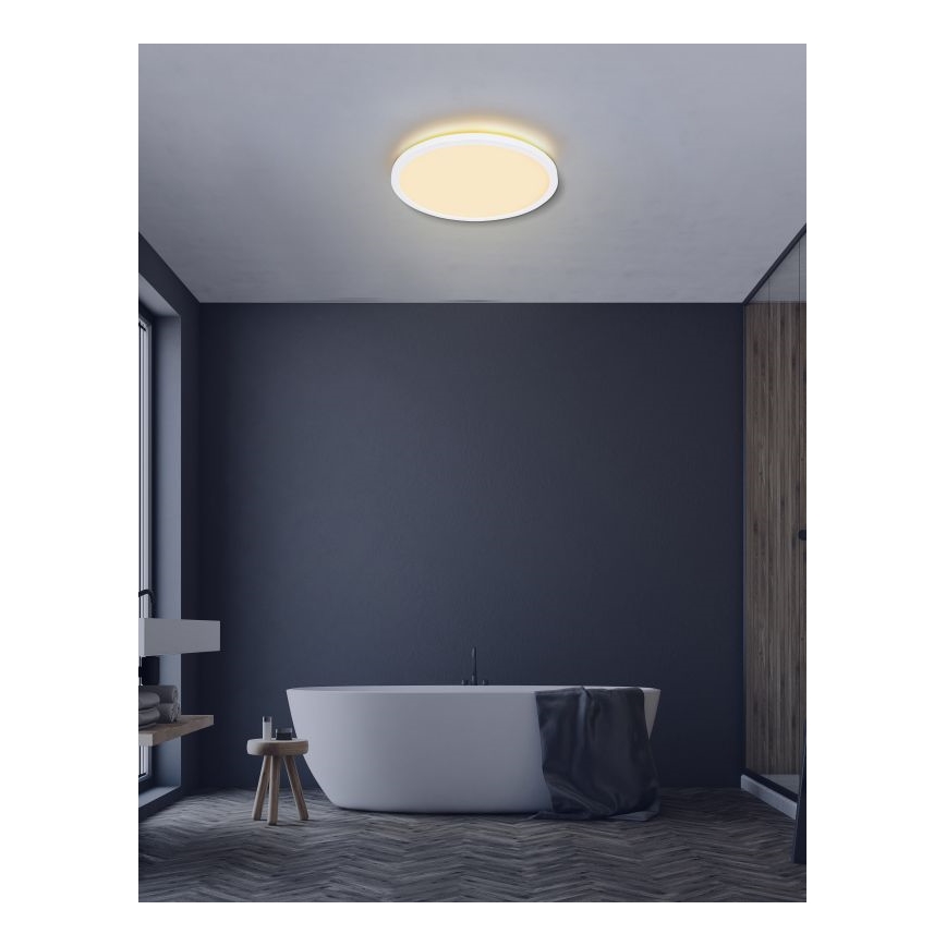 Globo - LED Ściemnialny plafon łazienkowy LED/24W/230V śr. 42 cm IP44 biały