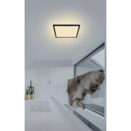 Globo - LED Ściemnialny plafon łazienkowy LED/18W/230V 29,4x29,4 cm IP44 czarny