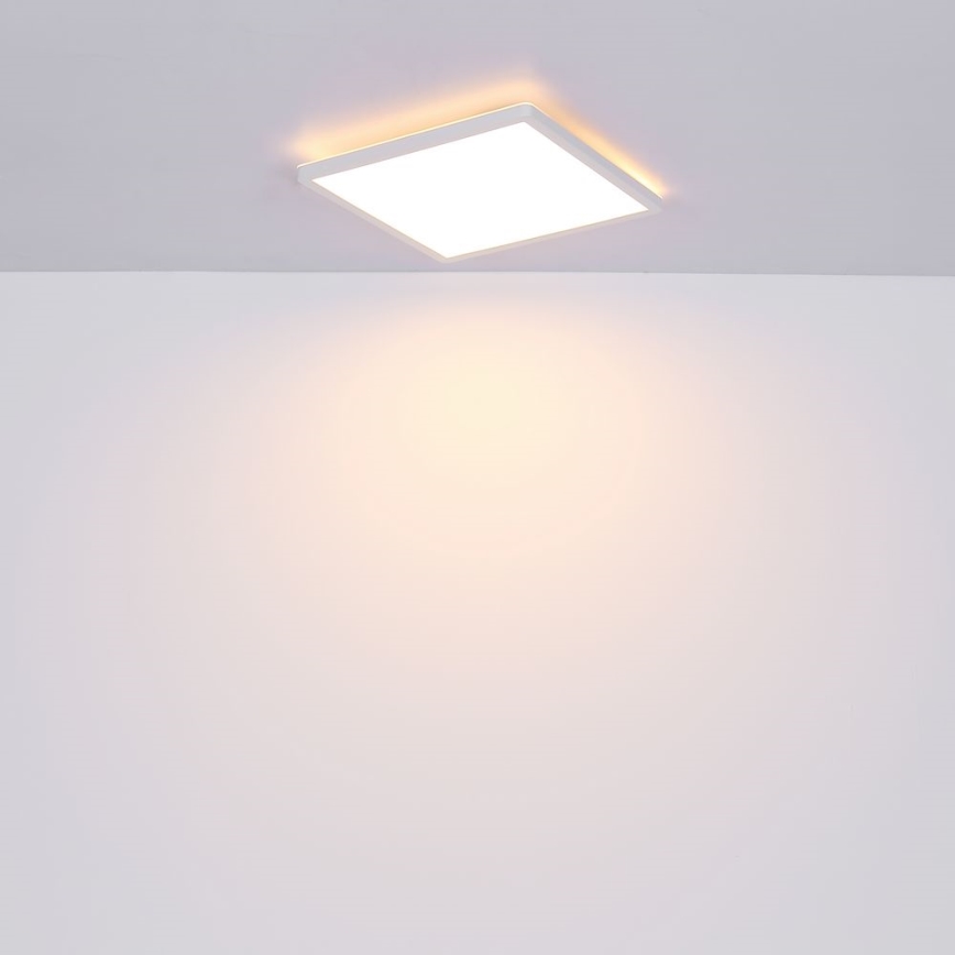 Globo - LED Ściemnialny plafon łazienkowy LED/24W/230V 42x42 cm IP44 biały
