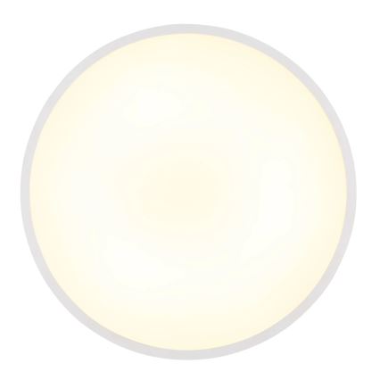 Globo - Lampa sufitowa LED/20W/230V 4000K śr. 30 cm biała