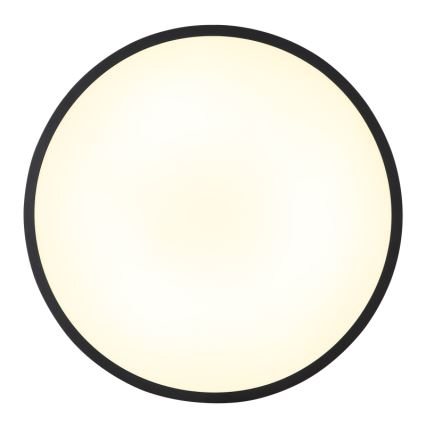 Globo - LED Plafon LED/32W/230V 4000K śr. 40 cm czarny