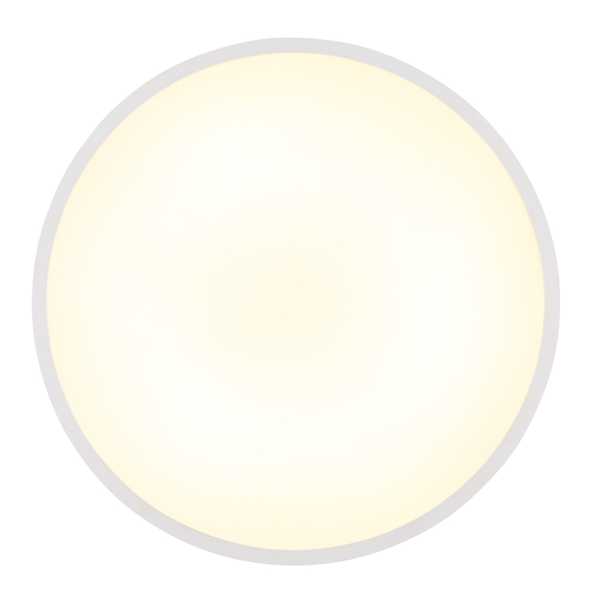 Globo - LED Plafon LED/32W/230V 4000K śr. 40 cm biały