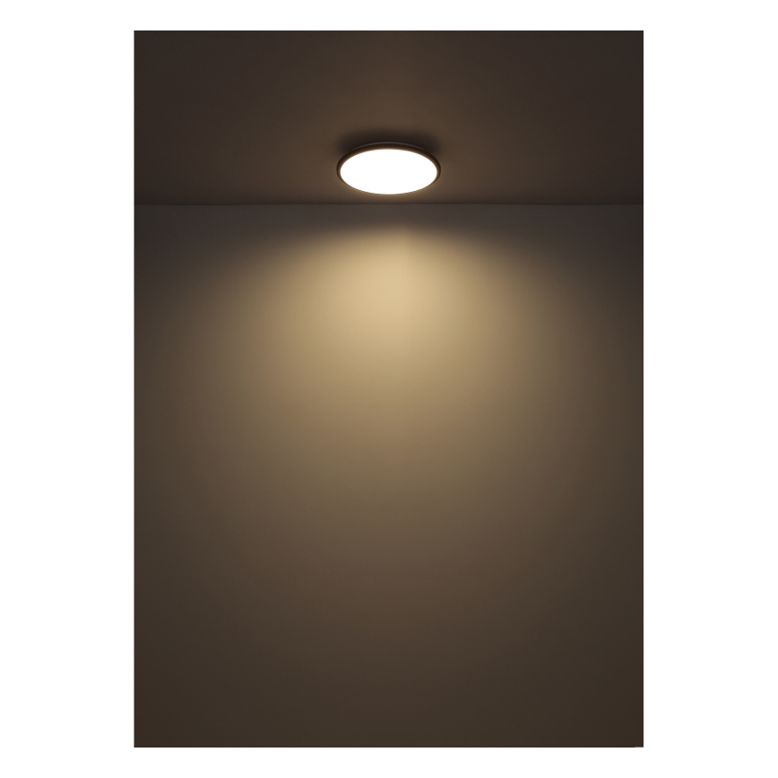 Globo - LED Plafon LED/18W/230V 4000K śr. 35 cm czarny