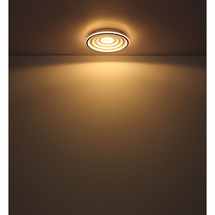 Globo - LED Plafon LED/24W/230V