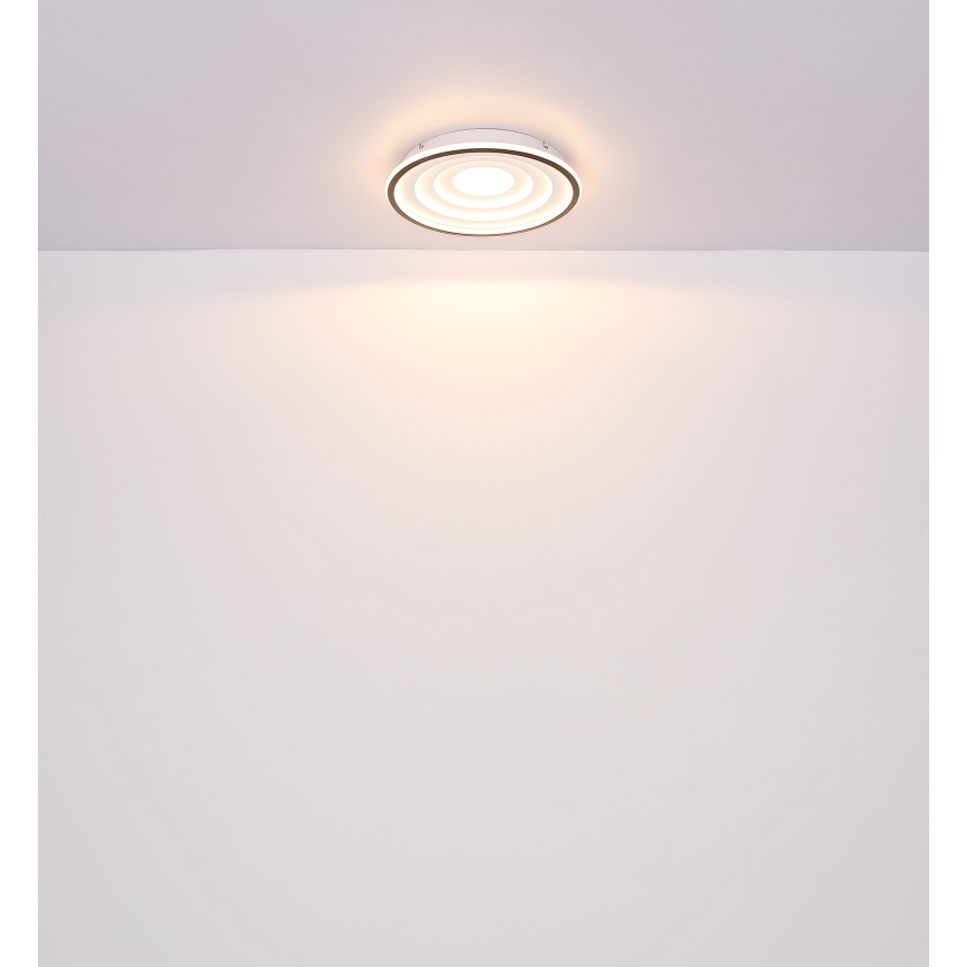 Globo - LED Plafon LED/24W/230V