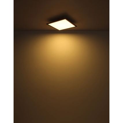 Globo - LED Plafon LED/24W/230V