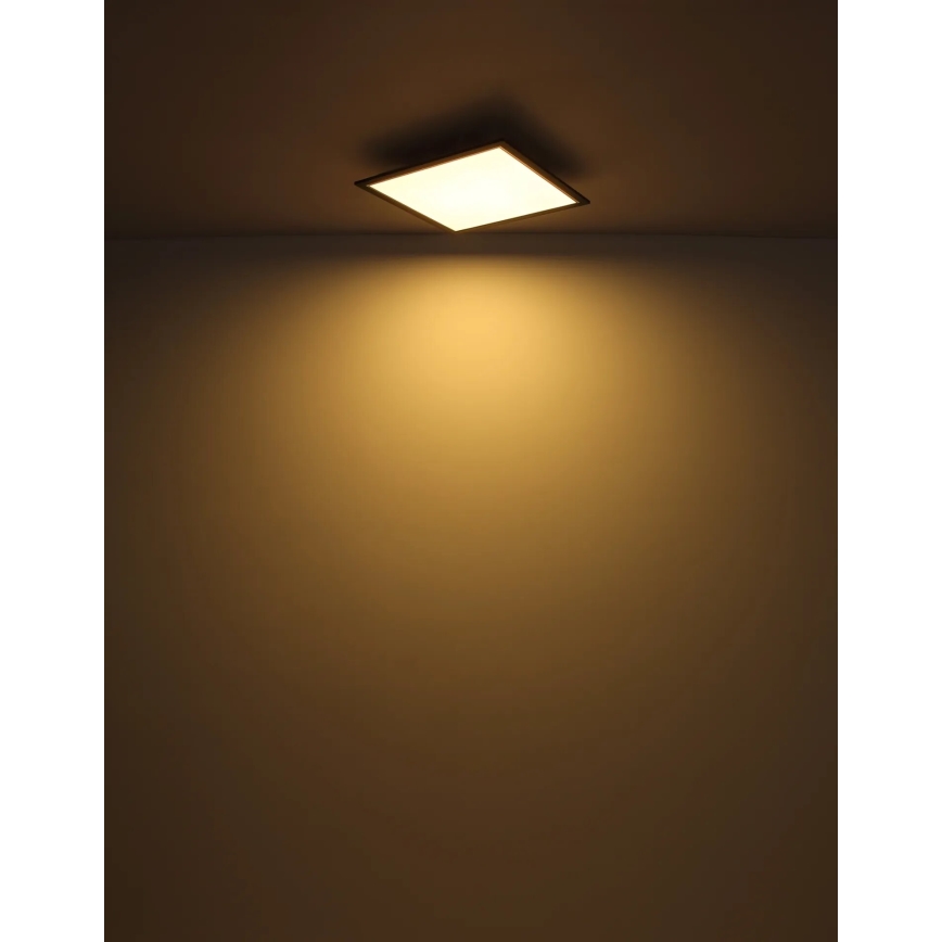 Globo - LED Plafon LED/24W/230V