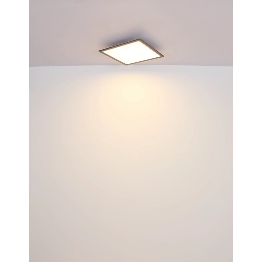 Globo - LED Plafon LED/24W/230V