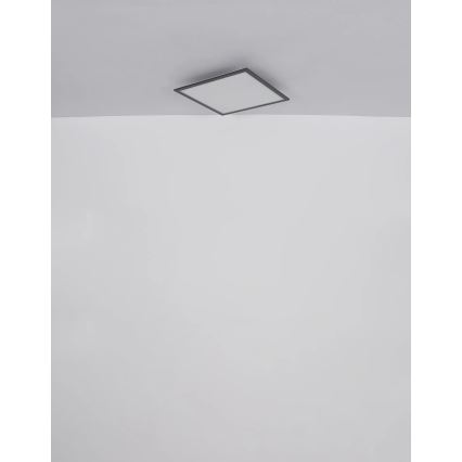 Globo - LED Plafon LED/24W/230V