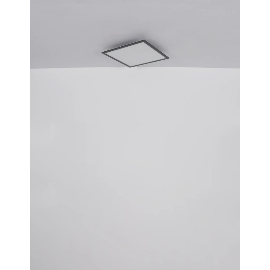 Globo - LED Plafon LED/24W/230V