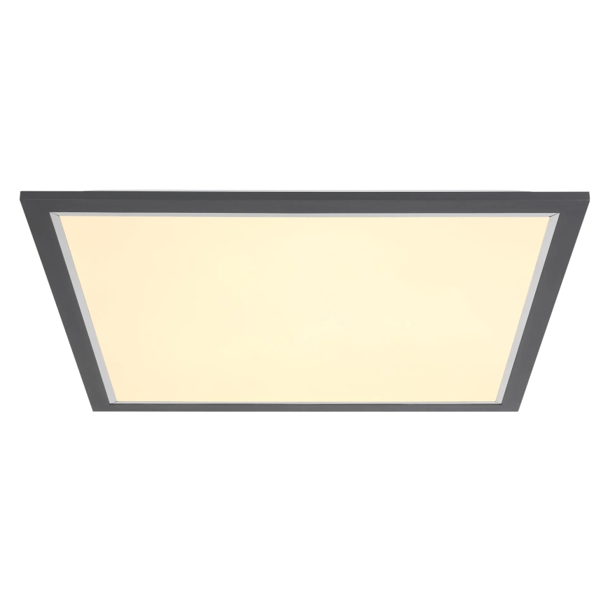 Globo - LED Plafon LED/24W/230V