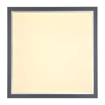 Globo - LED Plafon LED/24W/230V