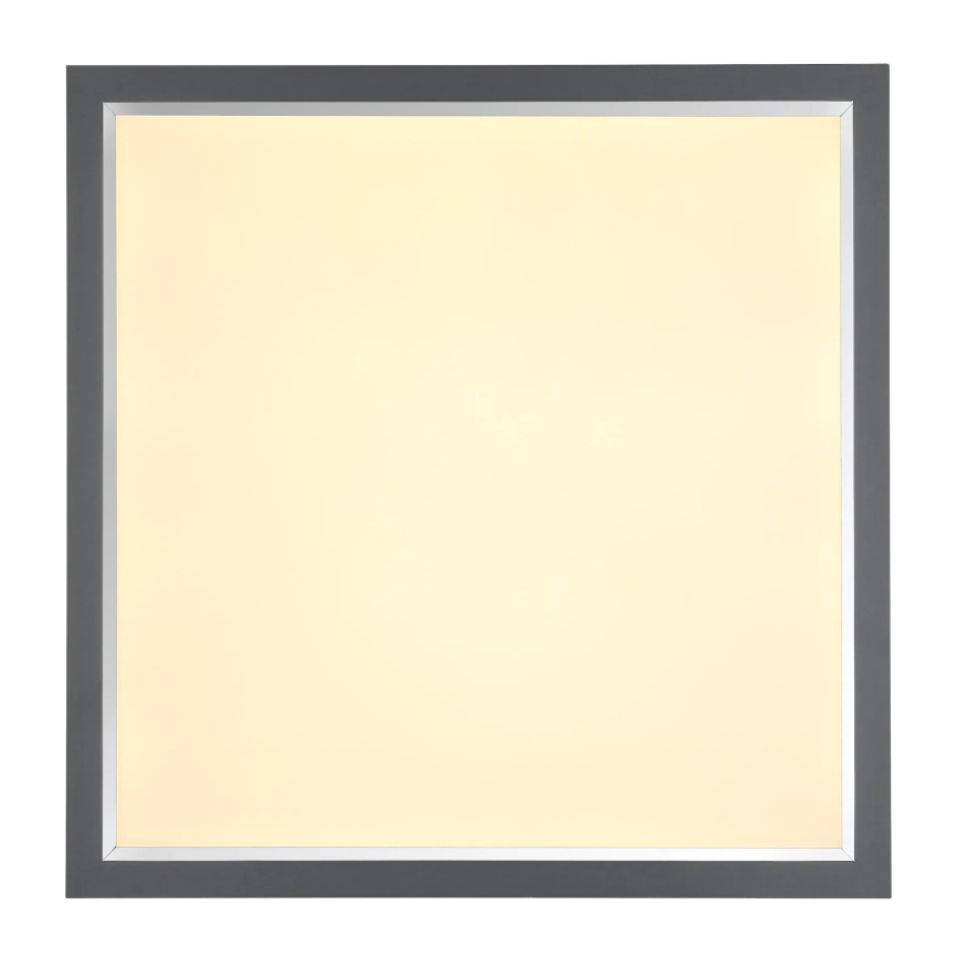 Globo - LED Plafon LED/24W/230V