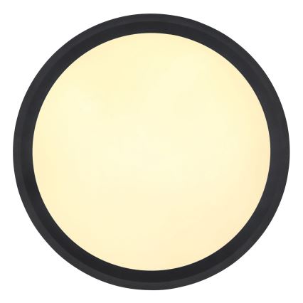 Globo - LED Plafon LED/30W/230V śr. 30 cm