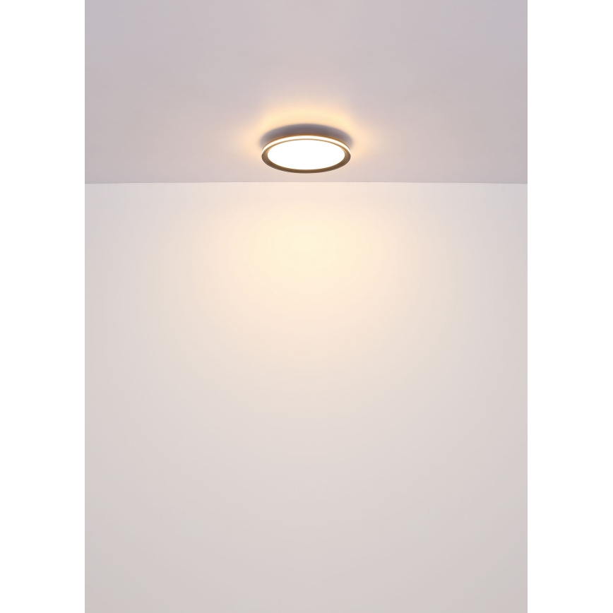Globo - LED Plafon LED/39W/230V śr. 40 cm