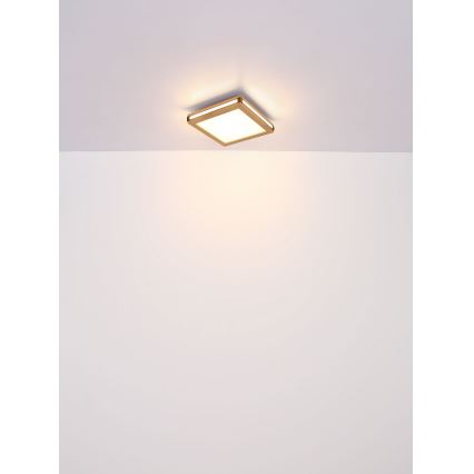 Globo - LED Plafon LED/24W/230V 45x45 cm