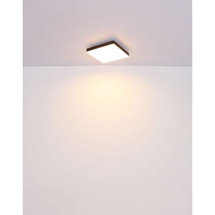 Globo - LED Plafon LED/18W/230V 30x30 cm czarny