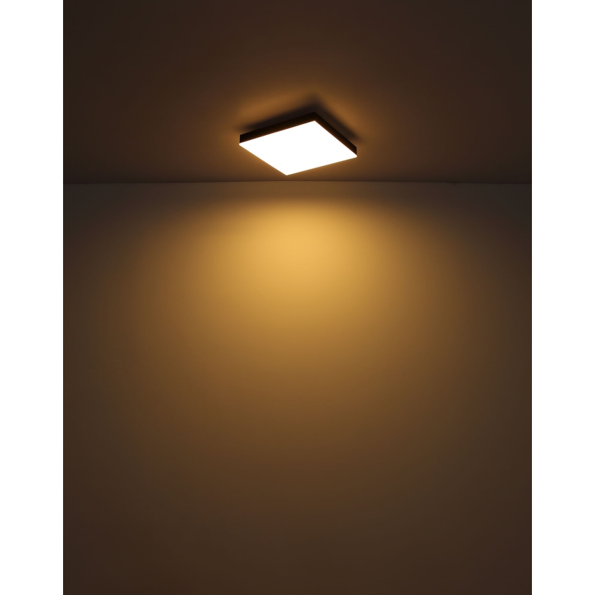 Globo - LED Plafon ściemnialny LED/24W/230V 2700-6500K czarny + pilot zdalnego sterowania