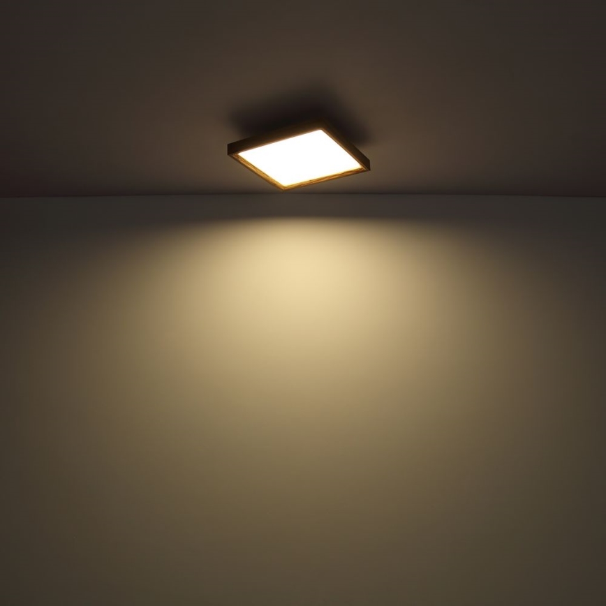 Globo - LED Plafon LED/24W/230V 45cm 2700/4500/6500K