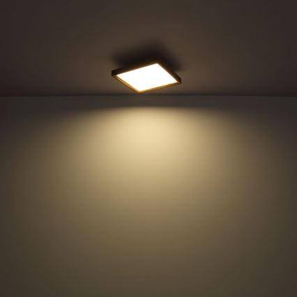 Globo - LED Lampa sufitowa LED/36W/230V 2700/4500/6500K 60x60 cm