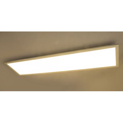 Globo - LED Ceiling Light LED/40W/230V