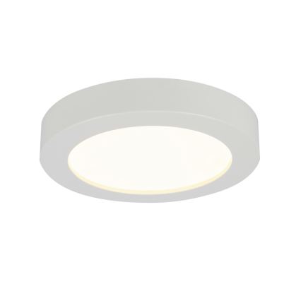 GLOBO 41605-18 - LED Plafon łazienkowy PAULA 1xLED/18W/230V IP44