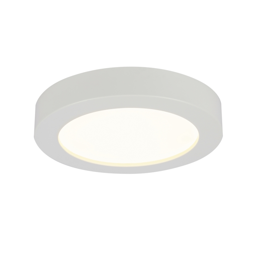 GLOBO 41605-18 - LED Plafon łazienkowy PAULA 1xLED/18W/230V IP44