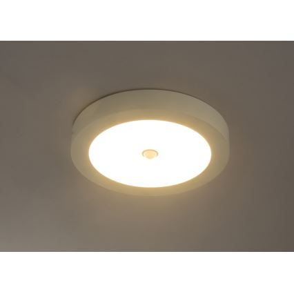 Globo - LED Plafon zewnętrzny z czujnikiem 1xLED/18W/230V