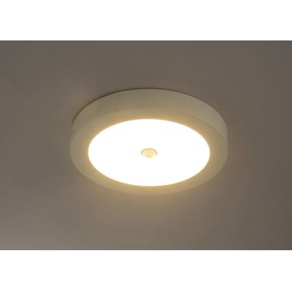 Globo - zewnętrzna oprawa sufitowa LED z czujnikiem LED/18W/230V IP44